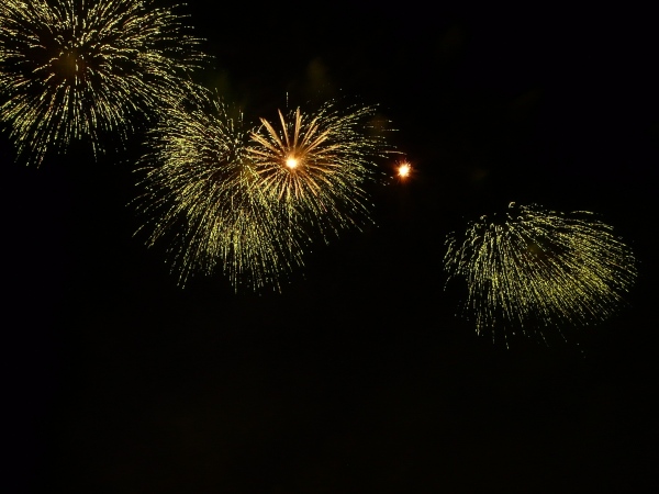 Feuerwerk Frankreich II   095.jpg